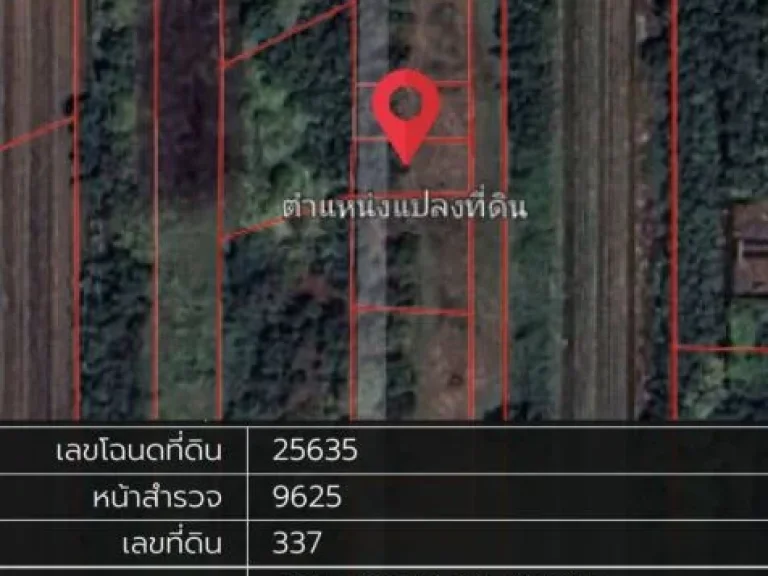 ขาย ที่ดินราคาถูก จปทุมฯ อหนองเสือ ตบึงกาสาม ขนาด 100 ตรว