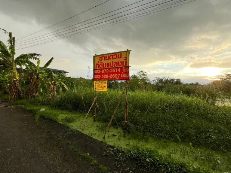 ขายด่วนที่ดิน 196 ตรว ซอยหมู่บ้านร่มเย็น4 ถนนลำไทร