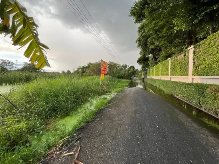 ขายด่วนที่ดิน 196 ตรว ซอยหมู่บ้านร่มเย็น4 ถนนลำไทร