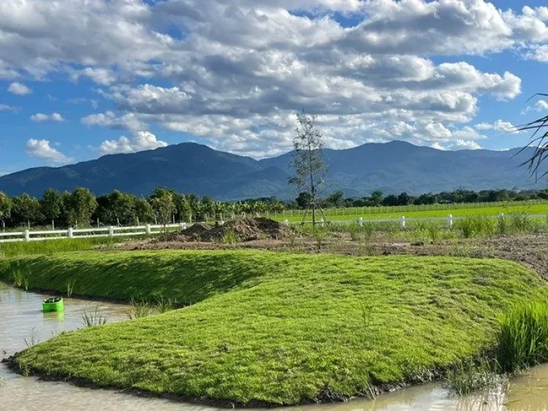 ที่ดินแม่ริมเชียงใหม่ ใกล้มหาวิทยาลัยแม่โจ้ กาดฝรั่งแม่ริม