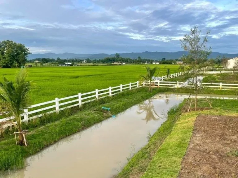 ที่ดินแม่ริมเชียงใหม่ ใกล้มหาวิทยาลัยแม่โจ้ กาดฝรั่งแม่ริม