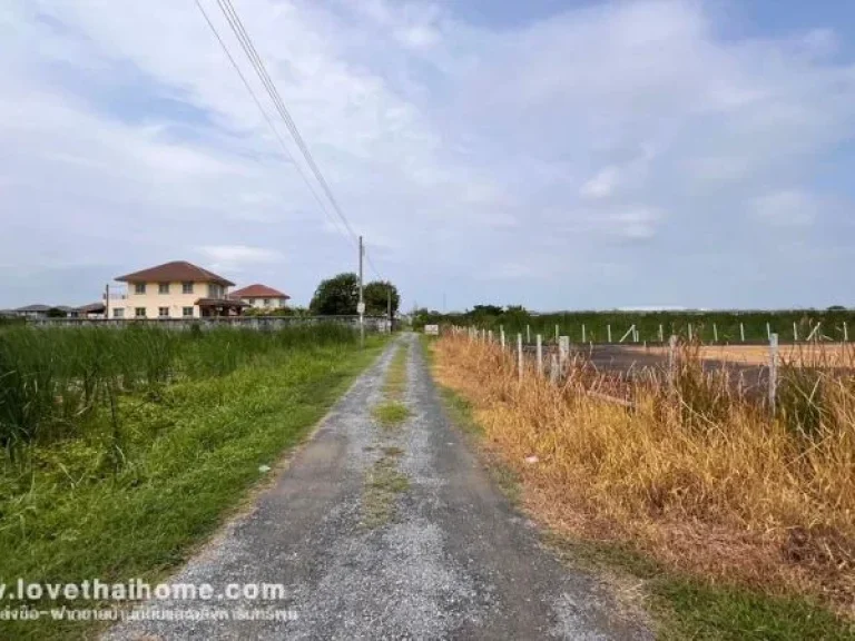 ขายที่ดิน ถนนบางม่วง-บางคูลัด ซอยวัดพระเงิน พื้นที่ 295 ตรว