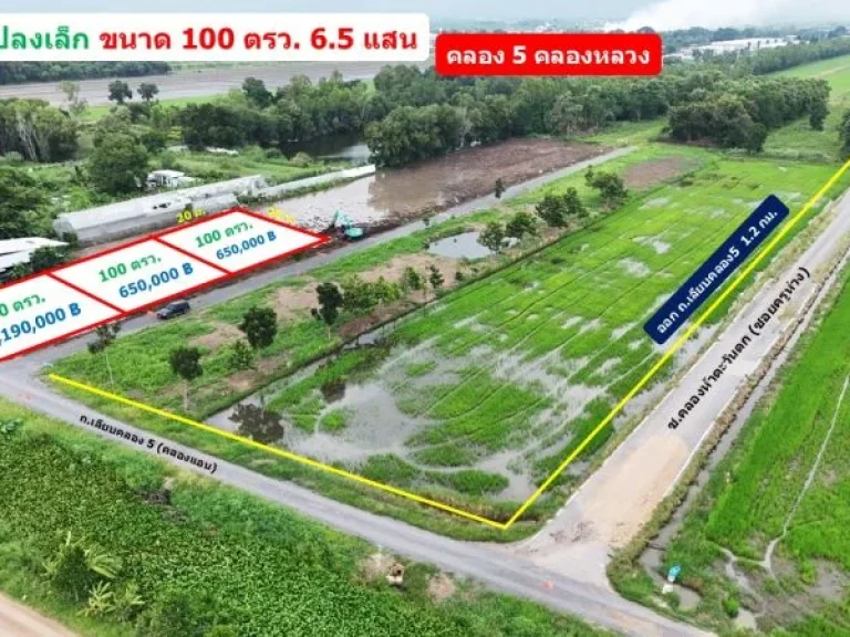 ที่ดินคลอง 5 คลองหลวง ปทุมธานี 100 ตรว เพียง 65 แสน