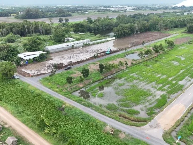 ที่ดินคลอง 5 คลองหลวง ปทุมธานี 100 ตรว เพียง 65 แสน