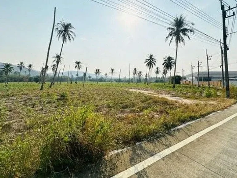 ขายที่ดินสีม่วงลายซอยศิริอนุสรณ์ เนื้อที่ 50 ไร่ ตำบลหนองขาม