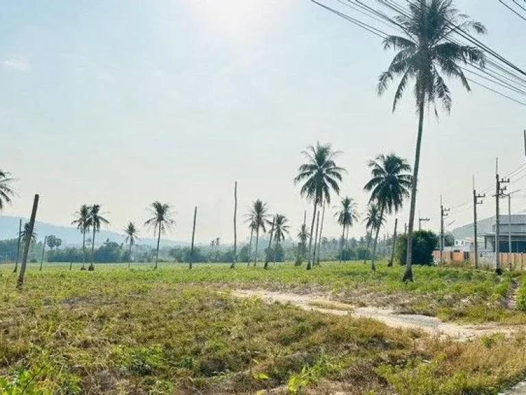 ขายที่ดินสีม่วงลายซอยศิริอนุสรณ์ เนื้อที่ 50 ไร่ ตำบลหนองขาม