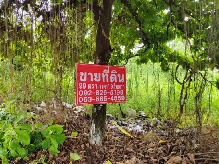 ขาย ที่ดินใกล้ฟิวเจอร์ รังสิต ซอยสุขี ตบางพูน อเมือง