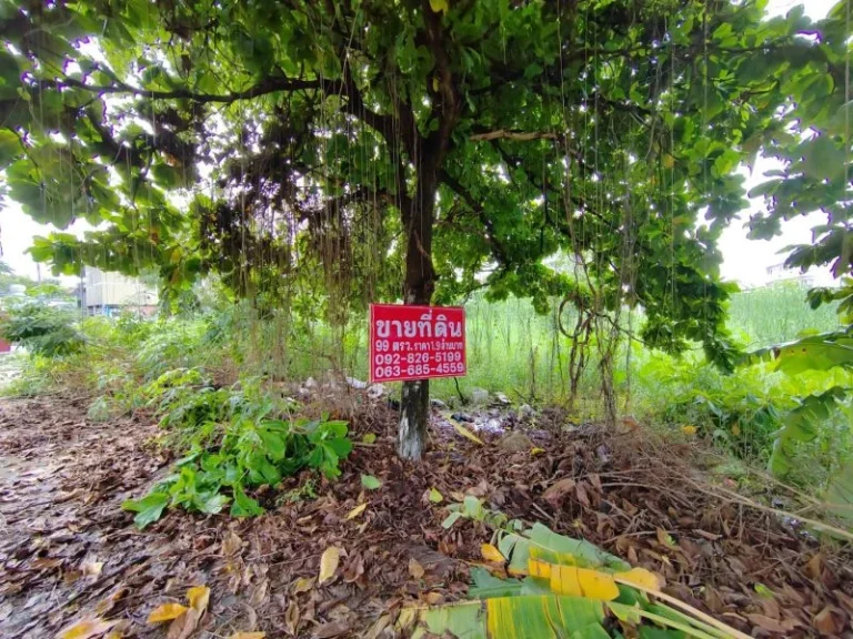 ขาย ที่ดินใกล้ฟิวเจอร์ รังสิต ซอยสุขี ตบางพูน อเมือง