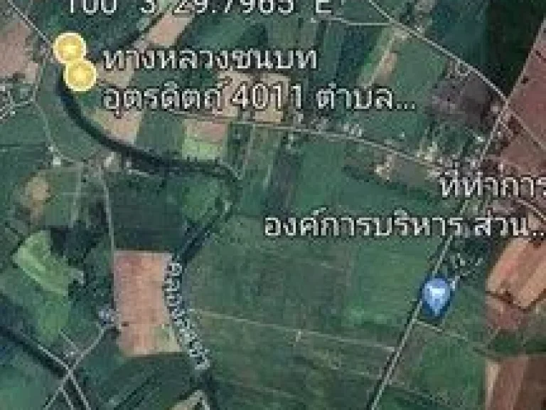 ขายที่ดิน 12 ไร่ แบ่งขายพร้อมต้นสักอายุ 15 ปี อพิชัย