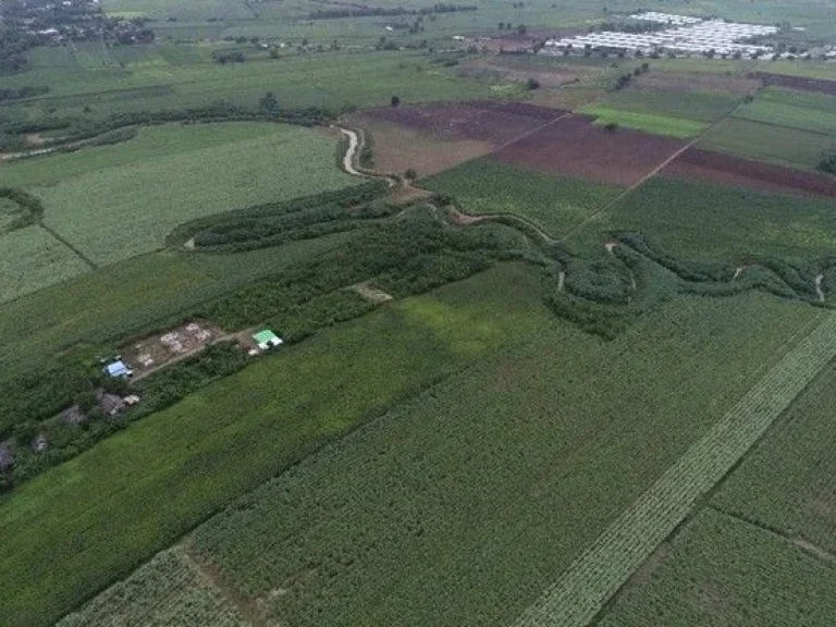 ขายที่ดินแปลงสวย ทำเลดี อำเภอวังม่วง จังหวัดสระบุรี