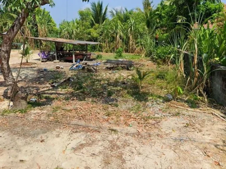 ขายที่ดินสวยๆ ใกล้หาดแม่รำพึง อเมือง จระยอง