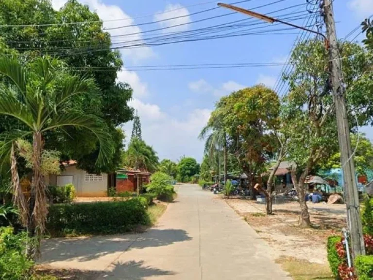 ขายที่ดินสวยๆ ใกล้หาดแม่รำพึง อเมือง จระยอง