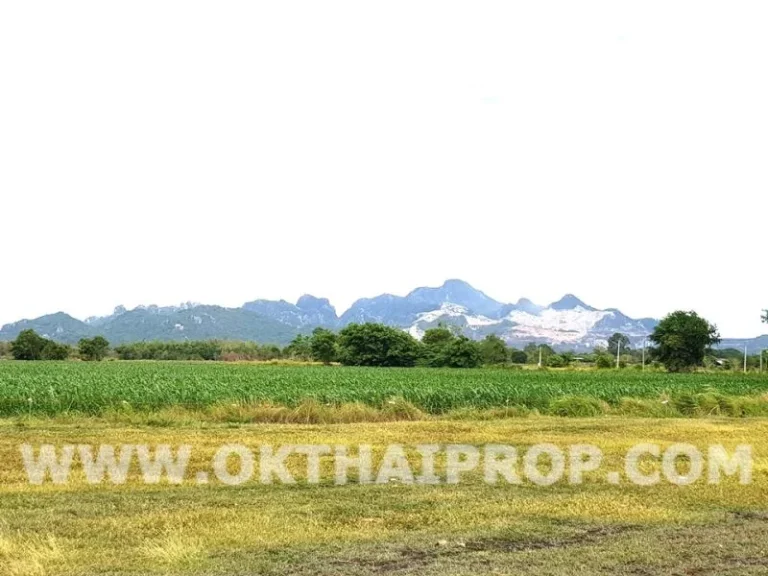 ที่ดินติดถนนใหญ่ ถพหลโยธิน ตนายาว อพระพุทธบาท จสระบุรี