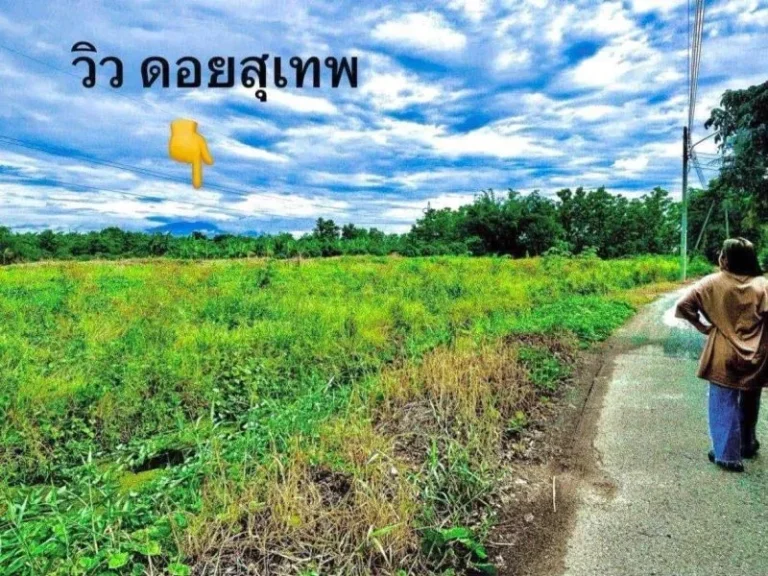 ขายที่ดิน 100 ตรววิวดอย ใกล้ทั้ง เชียงใหม่ ลำพูน