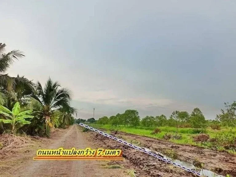 ที่ดินเงินผ่อน คลอง 11 รพีพัฒน์ หนองเสือ ปทุมธานี ผ่อนได้ 24