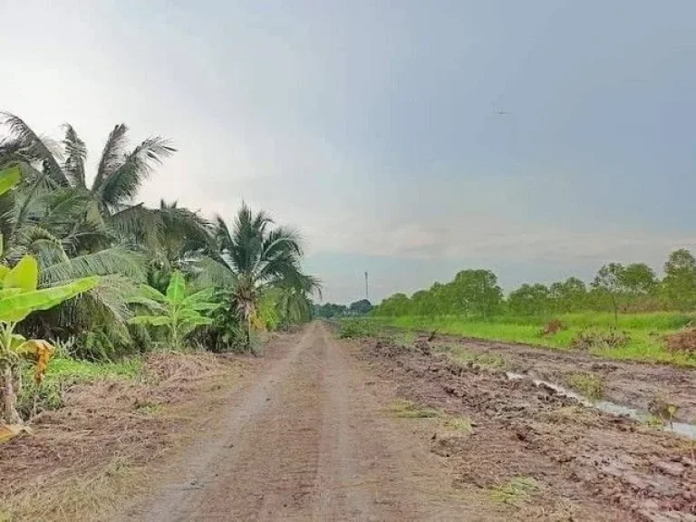 ที่ดินเงินผ่อน คลอง 11 รพีพัฒน์ หนองเสือ ปทุมธานี ผ่อนได้ 24