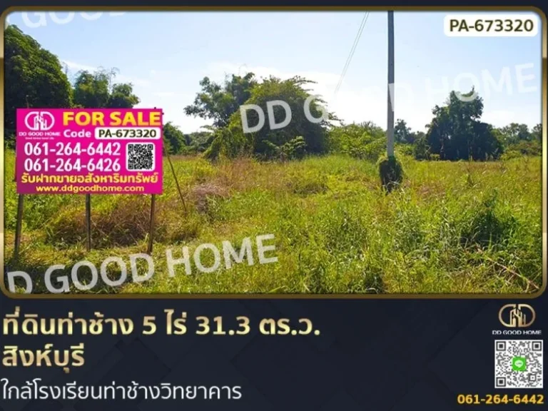 ที่ดินท่าช้าง 5 ไร่ 313 ตรว สิงห์บุรี