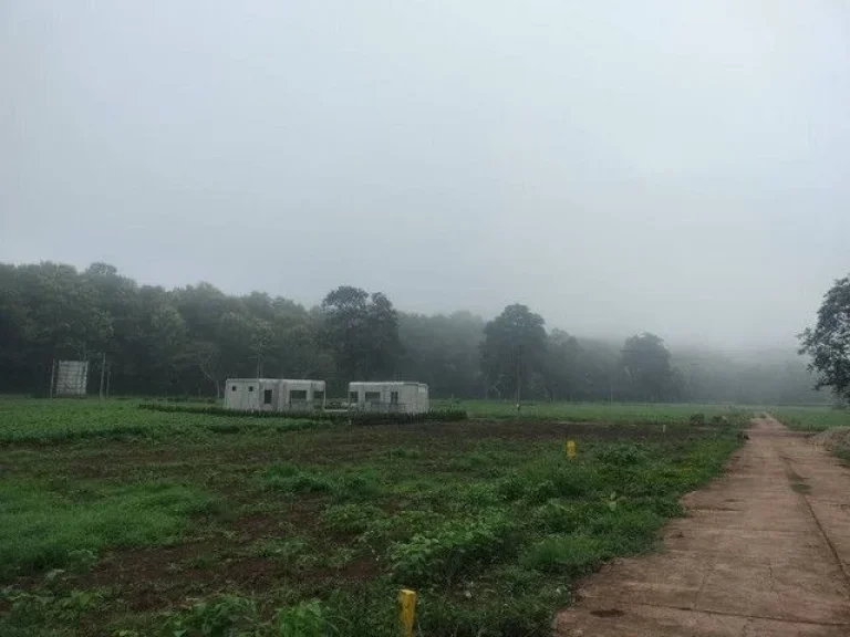 บ้านพลูวิลล่าบรรยากาศหุบเขาเชียงดาว สำหรับบ้านพักตากอากาศและ