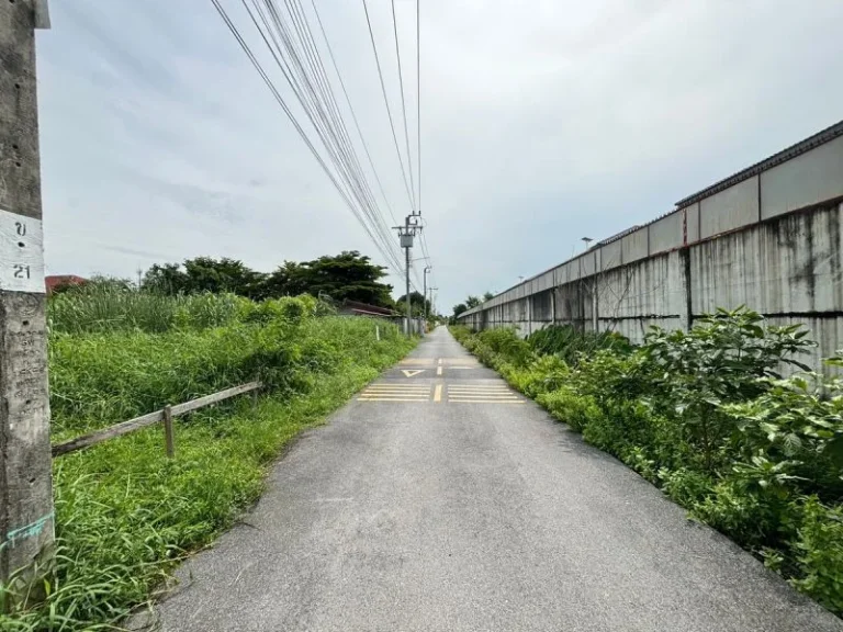 ขายที่ดิน ถนนสุขาภิบาล 5 ซอย 65 ย่านสายไหม รวม 2 โฉนด 250