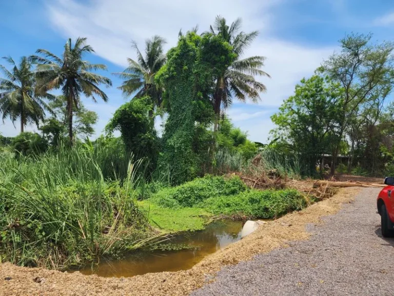 ขายที่ดินเปล่า 3ไร่ 3งานตบ้านเลือก อโพธาราม จราชบุรี