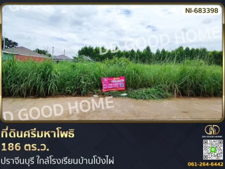 ที่ดินศรีมหาโพธิ 186 ตรว ปราจีนบุรี ใกล้โรงเรียนบ้านโป่งไผ่