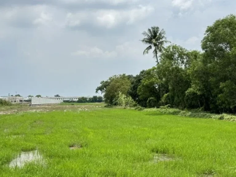 ที่ดินวงแหวน-บางบัวทอง ติดหมู่บ้านเสนา วีว่า