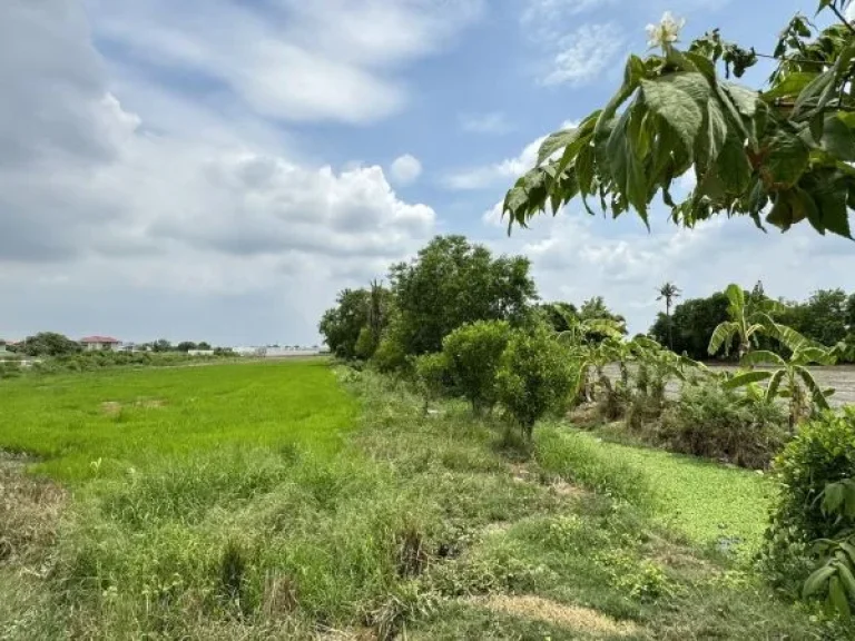 ที่ดินวงแหวน-บางบัวทอง ติดหมู่บ้านเสนา วีว่า