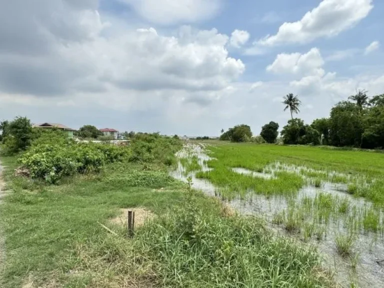 ที่ดินวงแหวน-บางบัวทอง ติดหมู่บ้านเสนา วีว่า