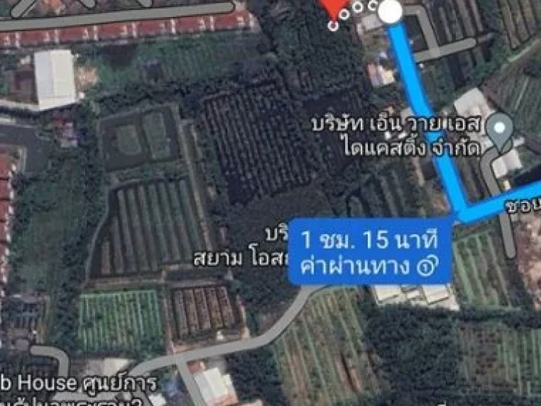 ขายที่ดินสวนมะพร้าวน้ำหอมตาบอด ทำเลดี ซอย อนามัยงามเจริญ 33