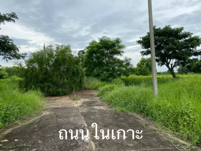 ขายด่วน ที่ดินแปลงจัดสรรล้อคที่97และ76 เนื้อที่ 1-1-94 ไร่