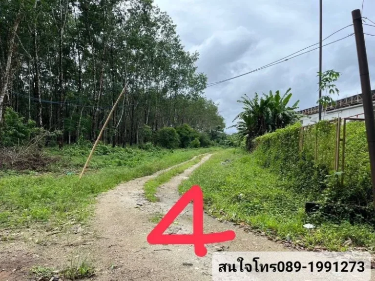 ขายที่ดิน 64 ไร่ 15110 ตรว ในตัวเมือง จระนอง ติดโลตัส