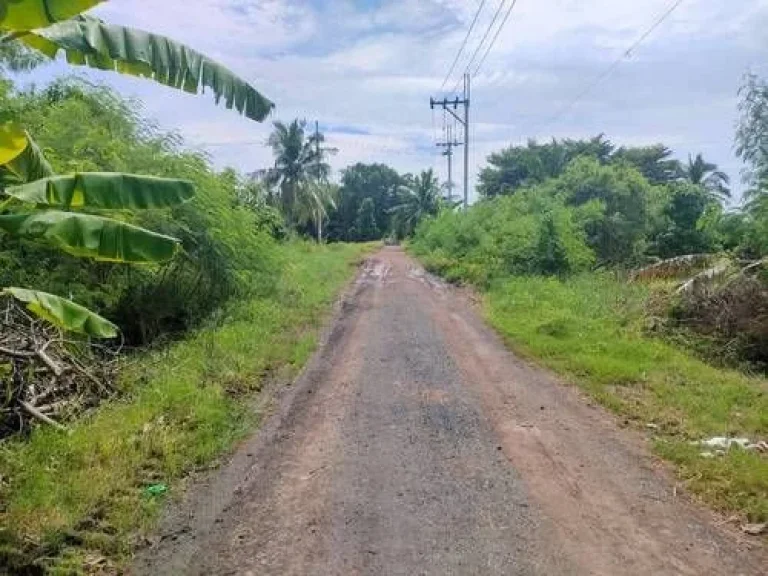 ขายที่ดินเปล่าในถนนร่วมพัฒนา เขตหนองจอก กรุงเทพมหานคร