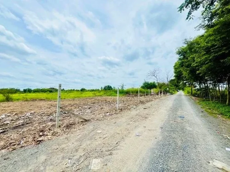 ขายที่ดิน คลองหกตะวันออก คลองหลวง ปทุมธานี พื้นที่ 200 ตรว