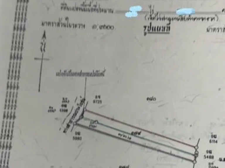 ขายที่ดินพร้อมบ้าน 3 ไร่ 3 งาน 393 ตรว ตไร่น้อย