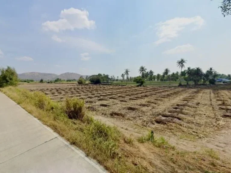 ขายที่ดิน 100ไร่ หนองอิรุณ บ้านบึง ราคาหลักแสน สนใจโทรด่วน