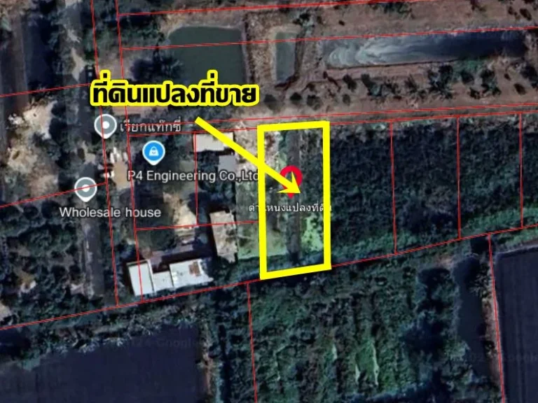 ขายที่ดินเปล่า ซอยเทศบาล13 ใกล้อบตบางใหญ่ นนทบุรี