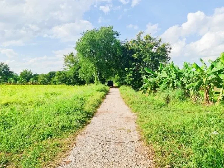 ที่ดินเหมาะทำบ้านสวน ตัวเมืองขอนแก่น ติดถนน 2ด้าน