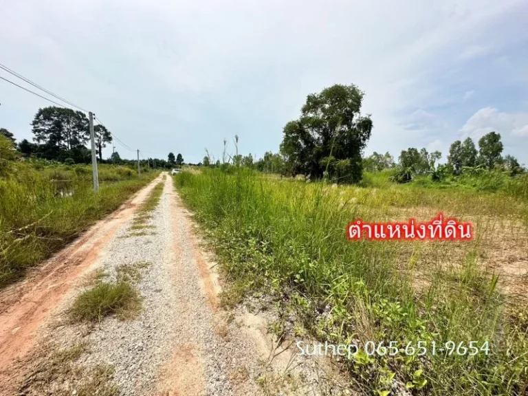 ขายที่ดินใกล้ทะเล เนื้อที่ 1-3-38 ไร่ ใกล้ถนนสุขุมวิทและหาดแ