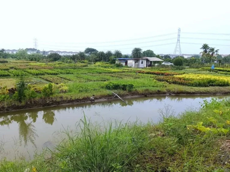 ขายที่ดินแปลงสวย ติดถนนบางม่วง - บางคูลัด เนื้อที่ 13-3-4 ไร่