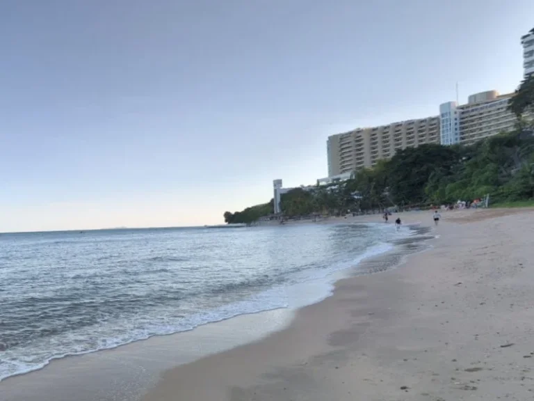 ขายที่ดินเขาพระตำหนัก ใกล้หาด Cozy Beach พัทยา Sea View