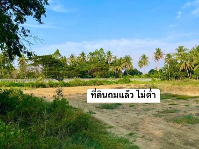 ขายที่ดินใกล้ทะเล เนื้อที่ 6-3-27 ไร่ ตหนองจอก ท่ายาง