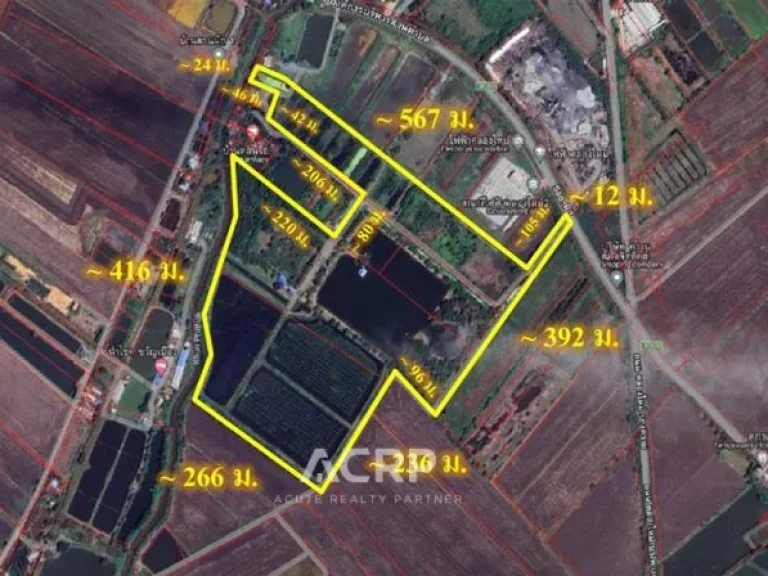 ขายที่ดิน 123 ไร่ ติดถนน อบตหนองจอก อบางปะกง จฉะเชิงเทรา