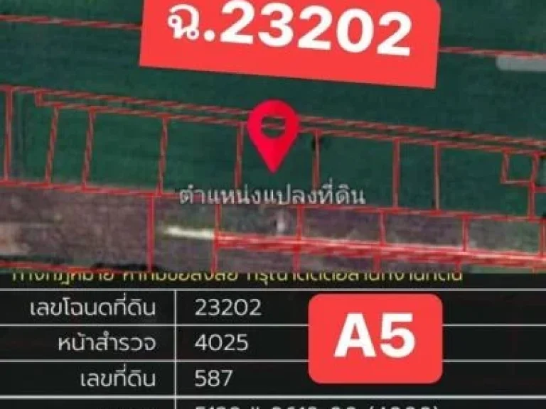 ขายที่ดินเปล่า 1ไร่ ราคาถูก ซอยวัดหนองหว้า อเฉลิมพระเกียรติ