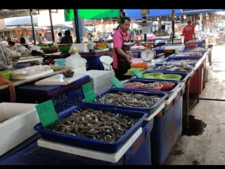 ขายตลาดสดใจกลางเมือง ถนนนิตโย ตหมากแข้ง อเมืองอุดรธานี