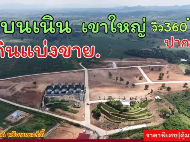 ขายที่ดินเขาใหญ่ บนเนินเขา วิว360องศา ที่ดินจัดสรรฯ