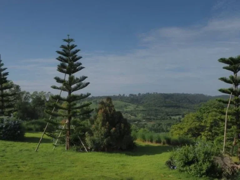 ขายที่ดินเขาใหญ่ บนเนินเขา วิว360องศา ที่ดินจัดสรรฯ