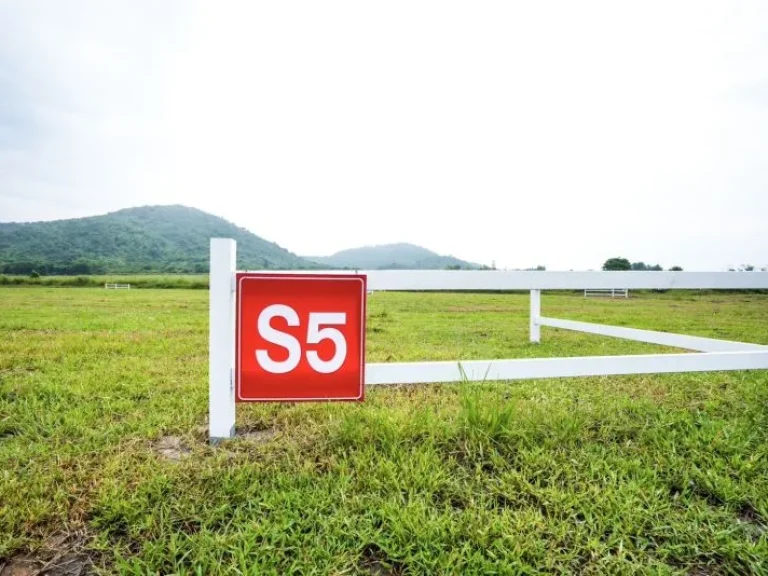 ขายที่ดิน พุหวายวิว เริ่มต้น 1 ไร่ ชะอำ เพชรบุรี