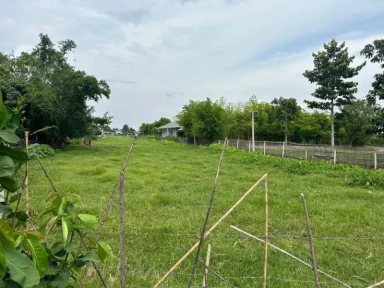 ขายที่ดินตำบลน้ำแพร่บ้านแสนตอห่างถนนหลัก 400เมตรพร้อมโอน