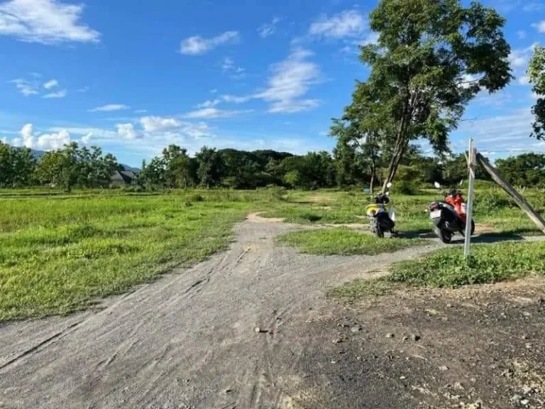 ขายที่ดินบ้านแสนตอตำบลน้ำแพร่หางดงถมดินเรียบร้อยโฉนดพร้อมโอน