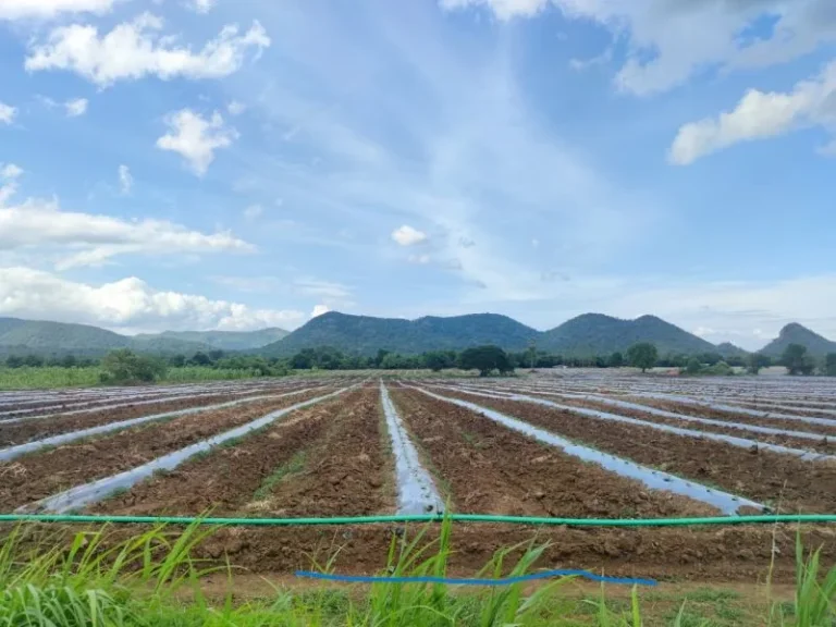 ขายด่วน ที่ดินทำเลสวย ติดแม่น้ำแคว อเมืองกาญจนบุรี